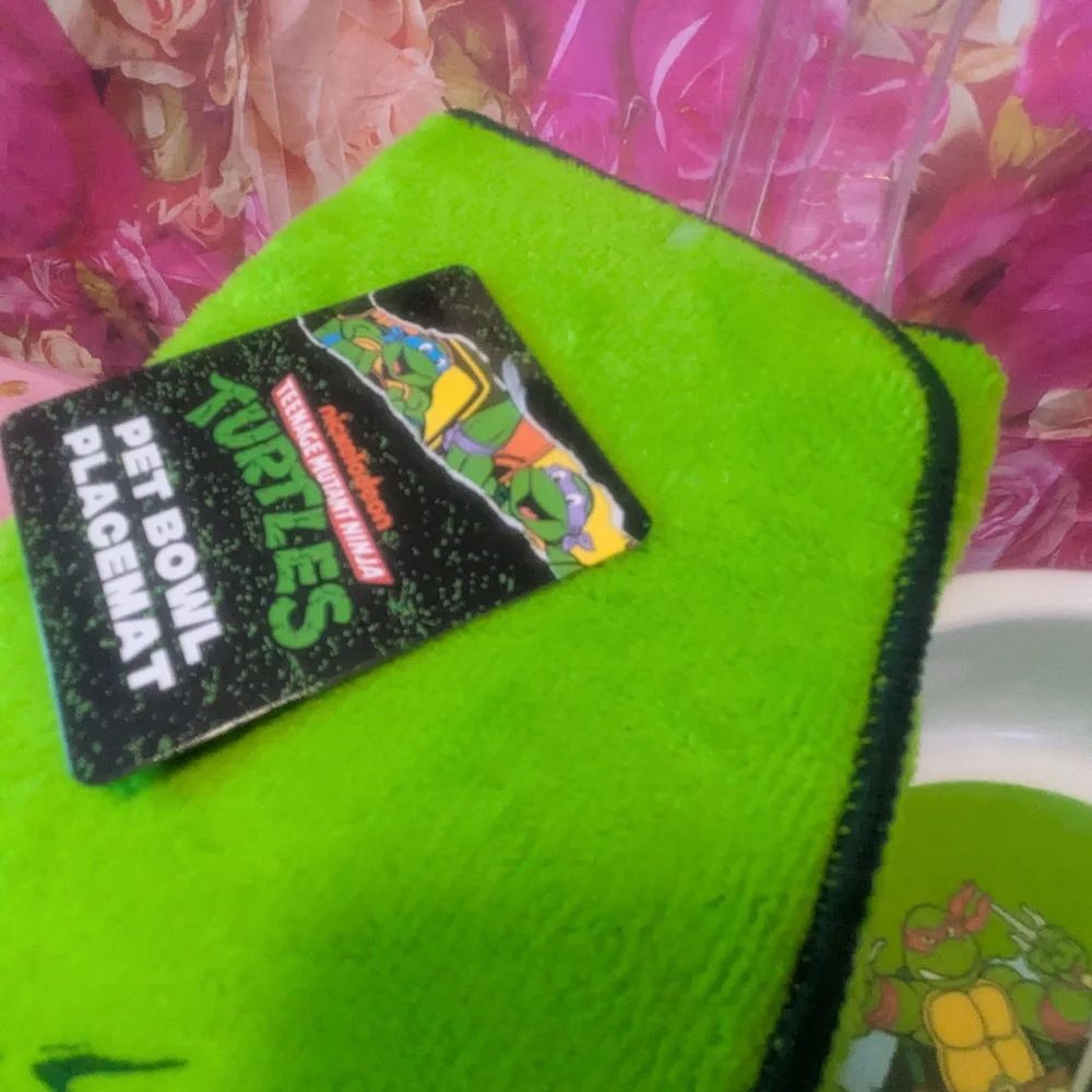 Nickelodeon Green Dog Bowl with Ninja Turtles Design
